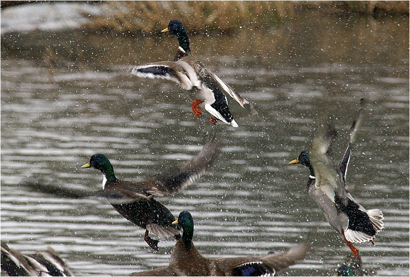 blde Wassertropfen!