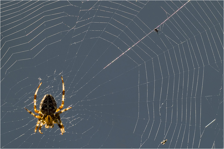 und dann...neuer Tag, neues Warten