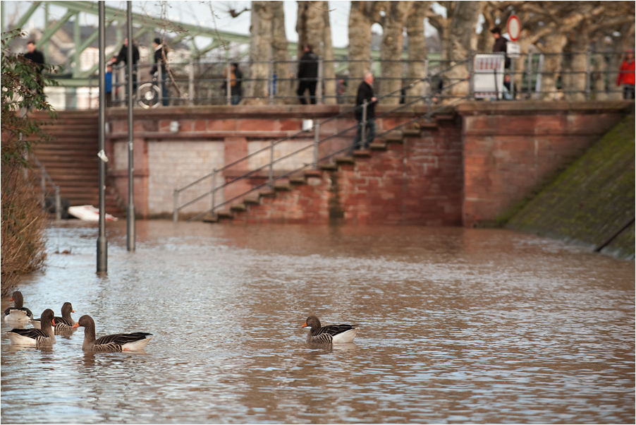 hochwasser4