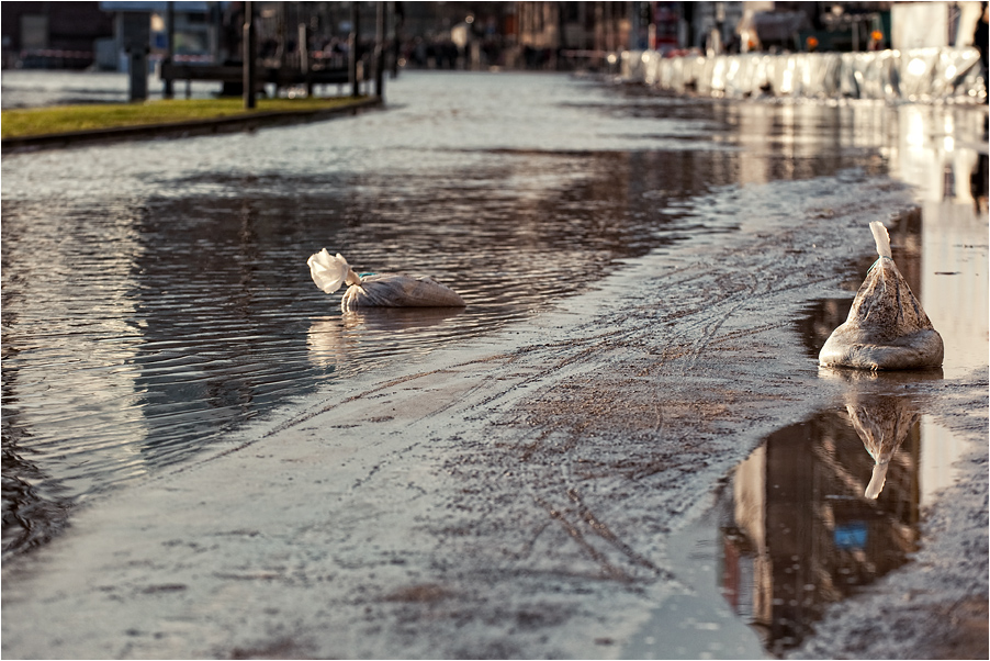 hochwasser11