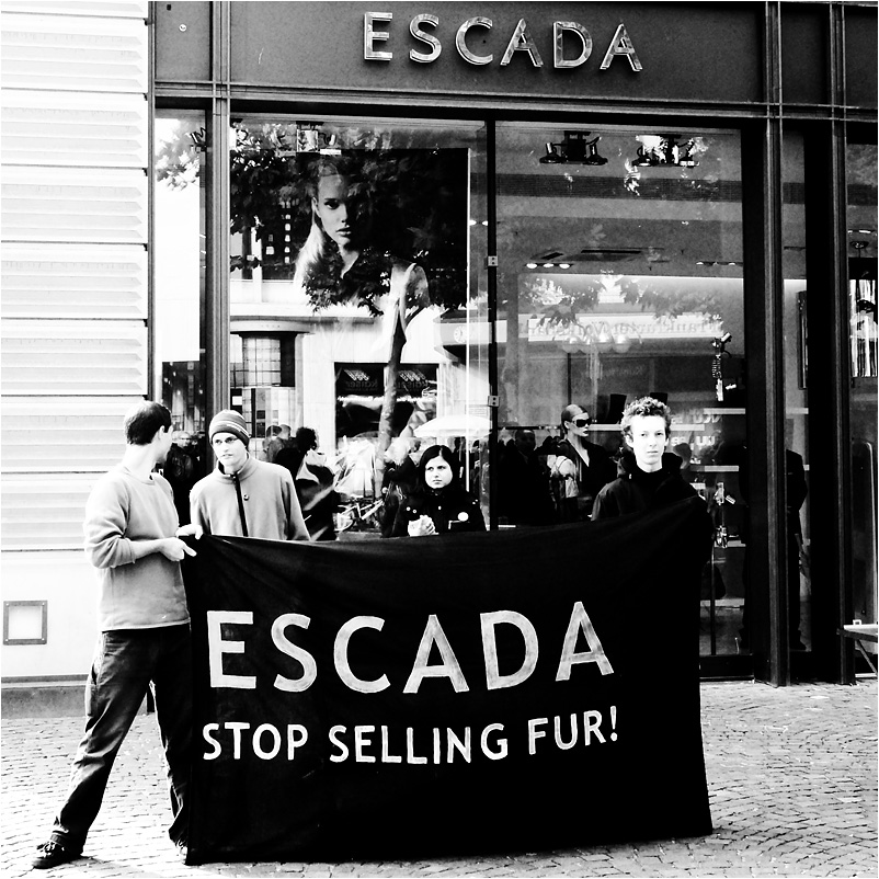 stop!