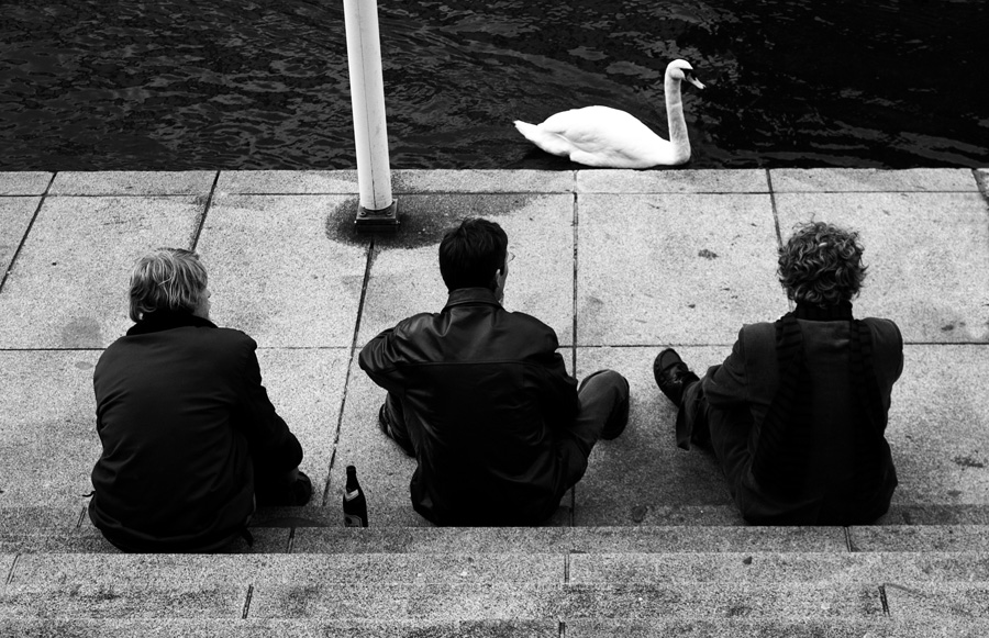 3 Mnner, ein Bier und ein Schwan