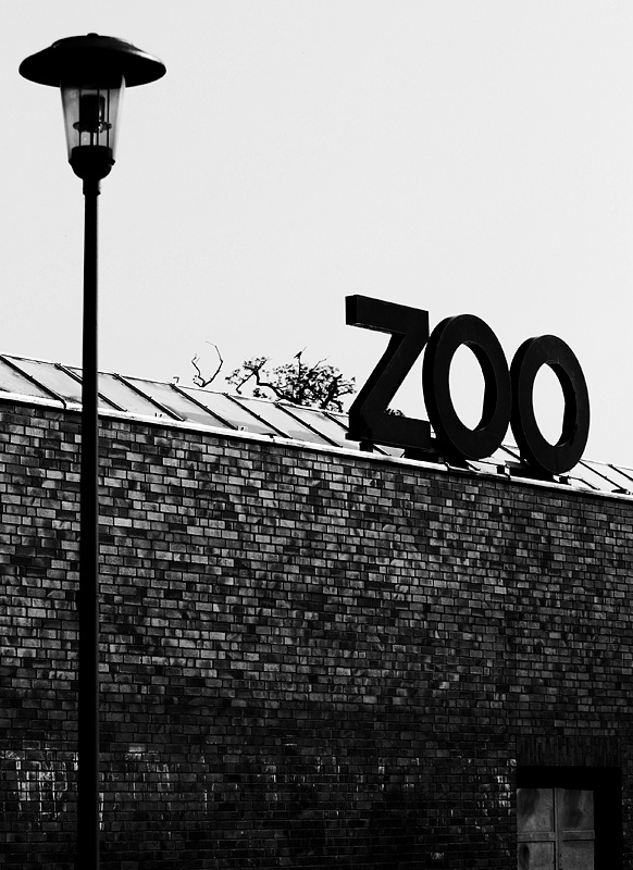 zoo