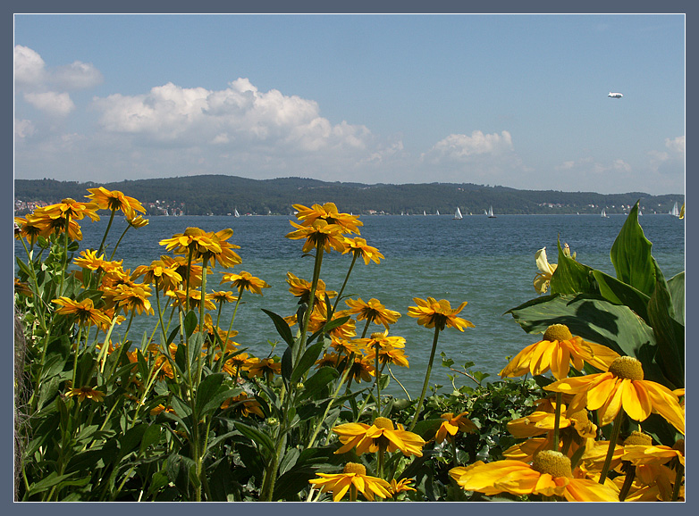 Insel Mainau