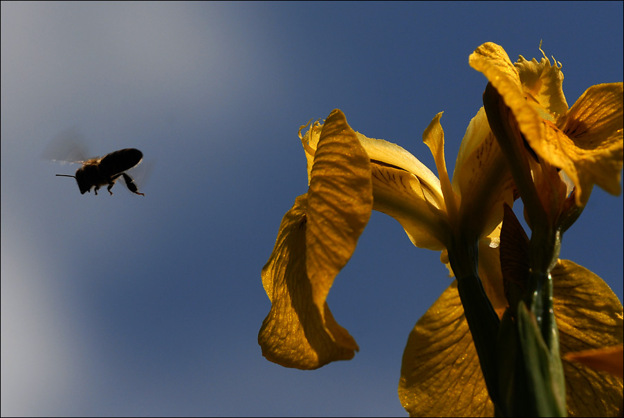 sonntags im garten