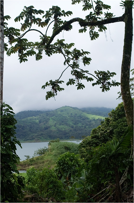 Lake Arenal 3