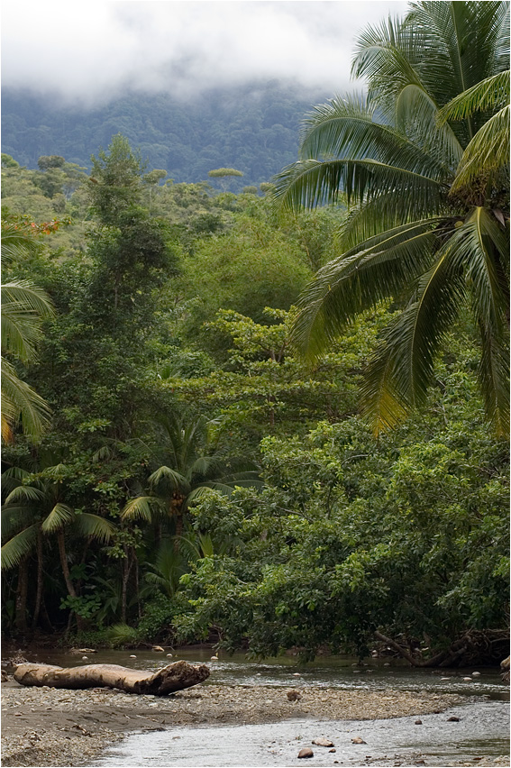 playa ventana