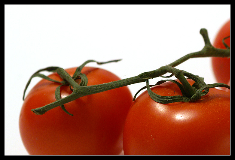 Tomaten 1