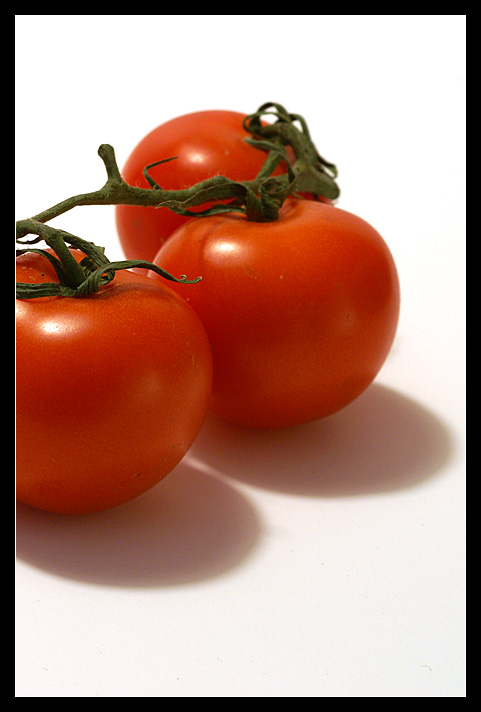 Tomaten 3