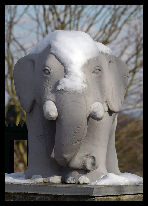 Schneelefant