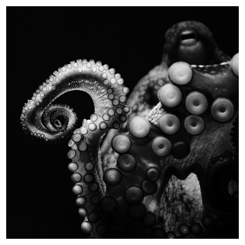 tentacular