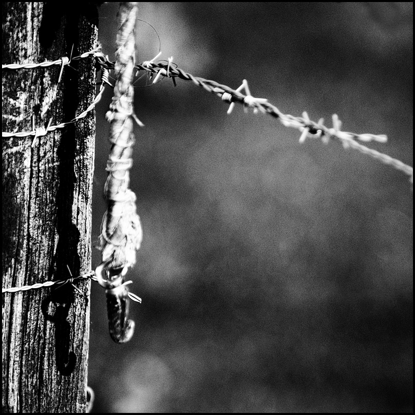 schatten