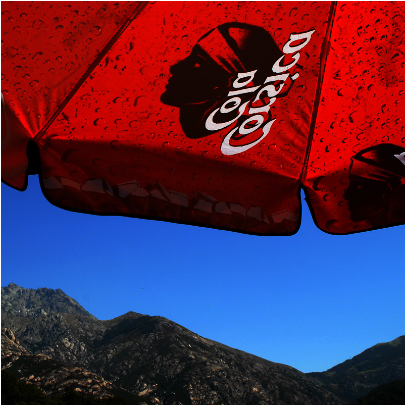 corsica cola