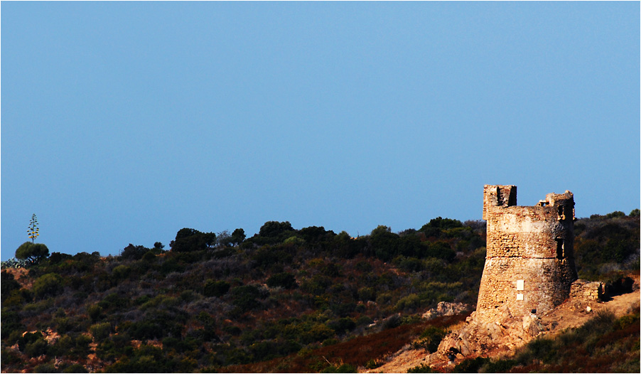 der baum, der turm und die macchia