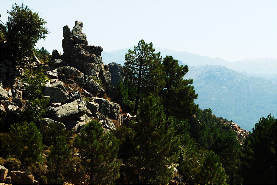 der perfekte rastplatz....