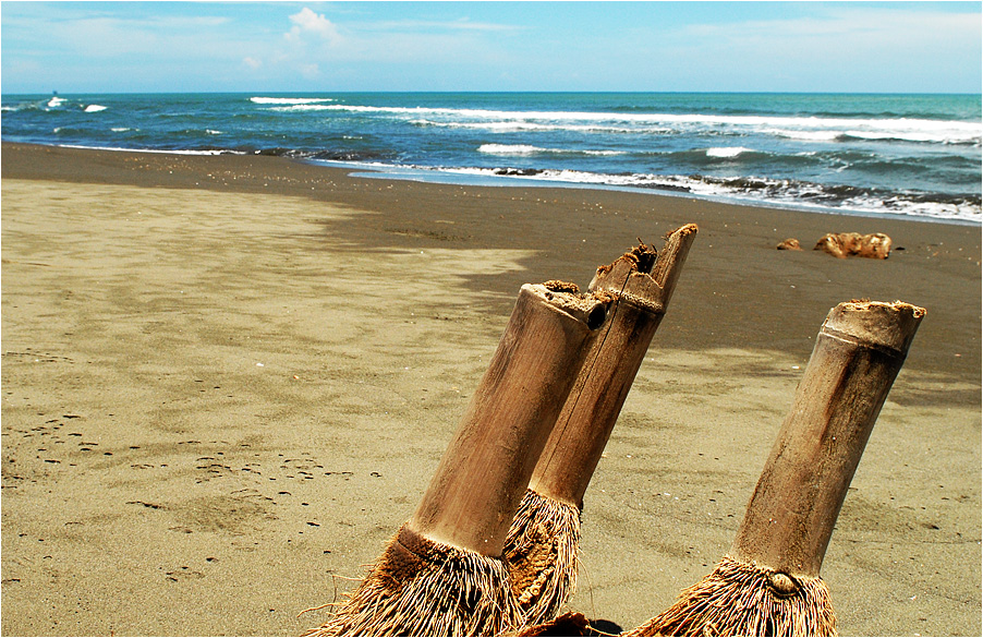beach dancers