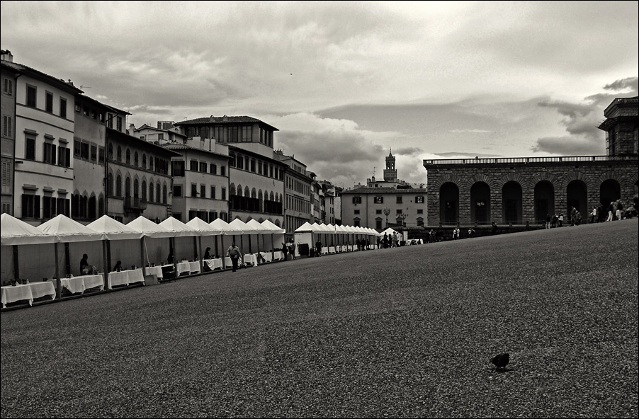 pitti