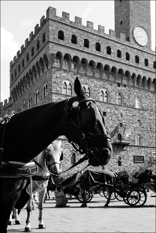 palazzo vecchio