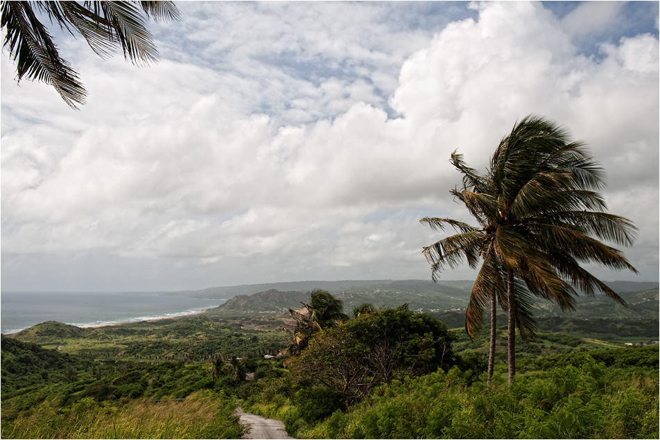 cherry tree hill