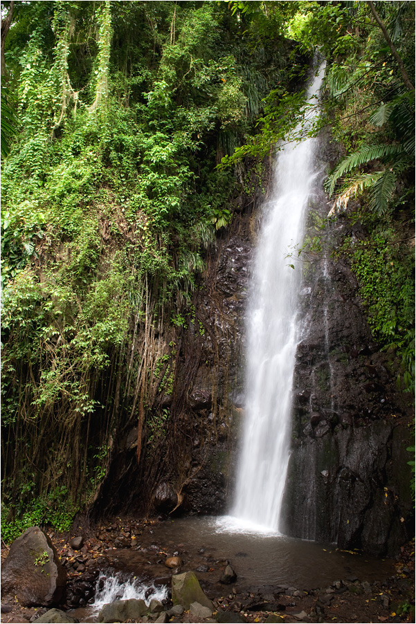 dark view falls