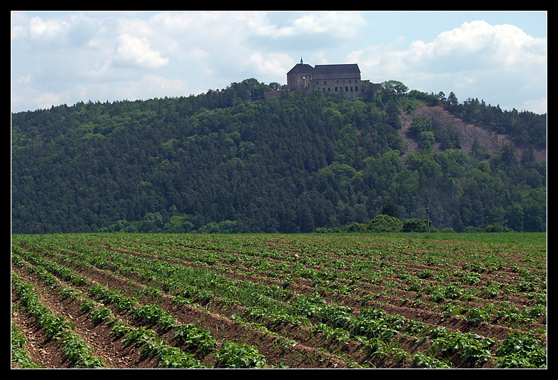 Burgruine