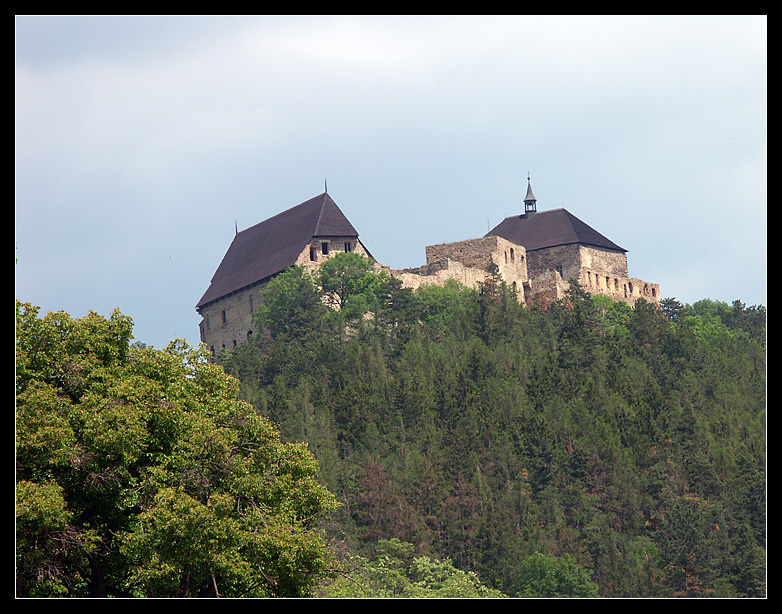 Kloster-Ruine