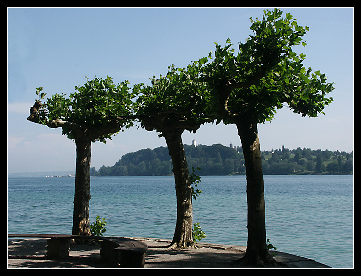 Mainau