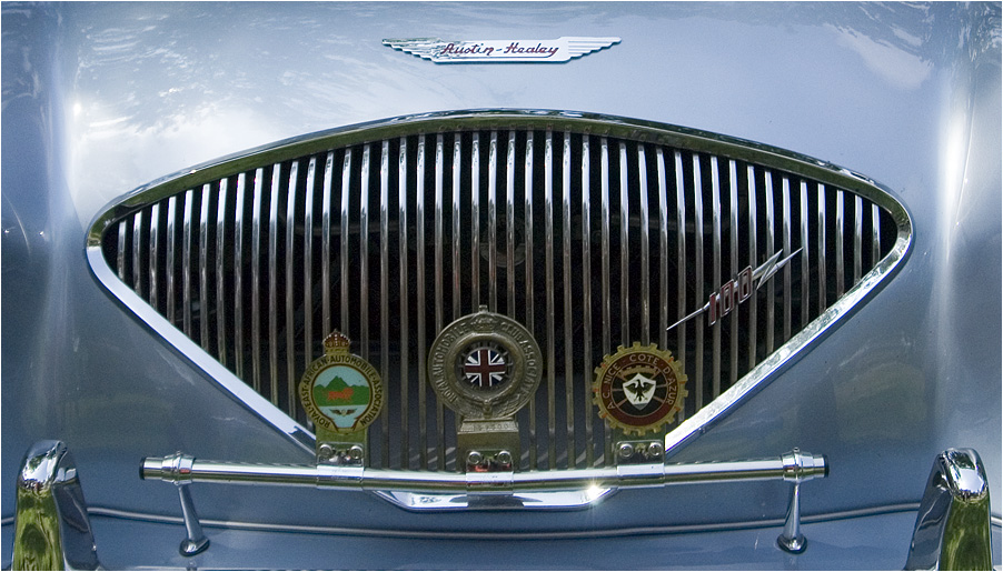 Healey