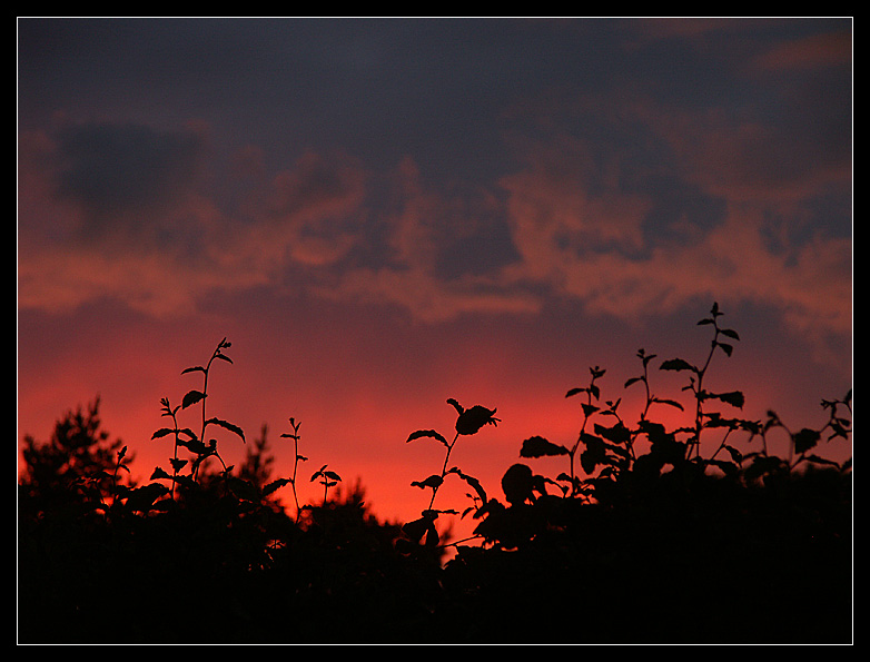 Nach dem Unwetter 2