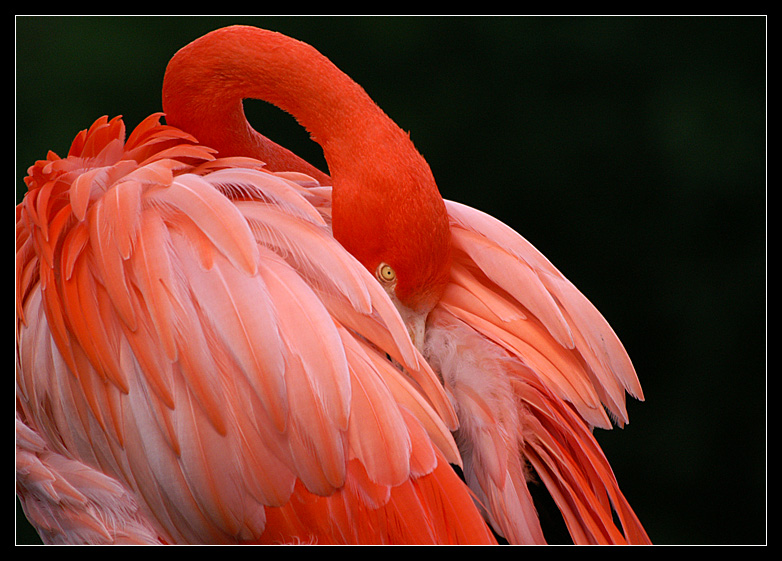 versteckt