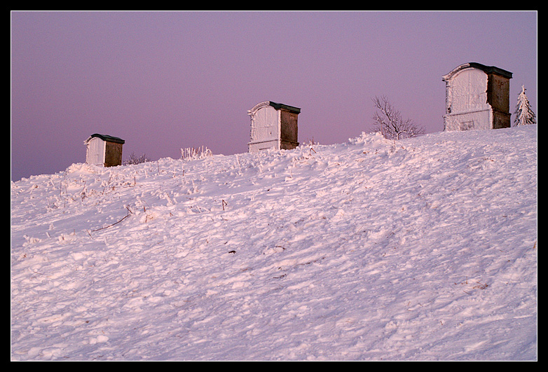 3 Dinger im Schnee