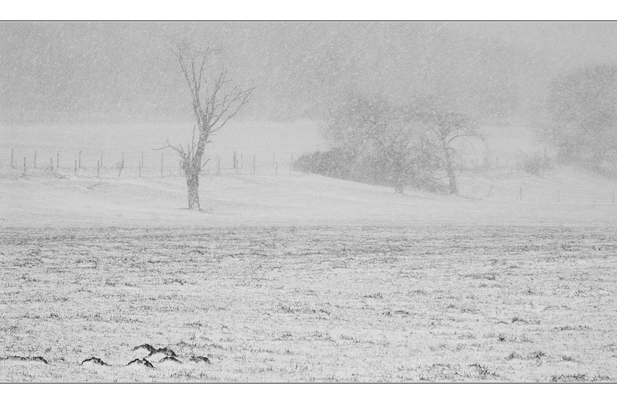 idyllischer Winterspaziergang