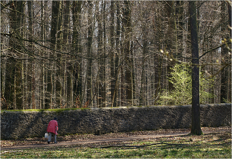 der Rest des Weges...