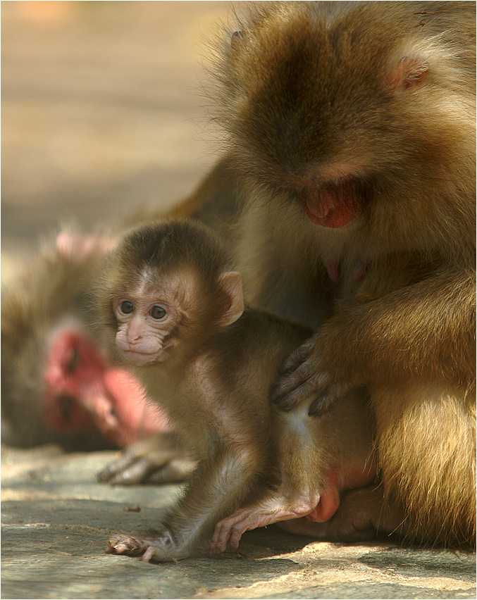 Familienportrait